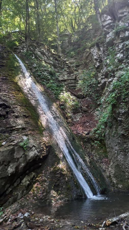 Apartmaji Ursic Kobarid Dış mekan fotoğraf